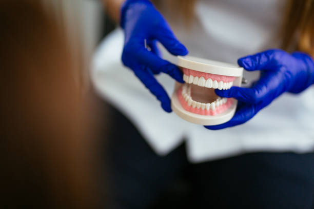 Best Dental Fillings (Composite and Amalgam)  in Shell Valley, ND